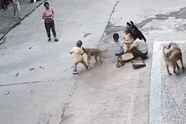 Người đàn ông ngã vào nồi cháo đang sôi, cả làng lao ra giải cứu-1