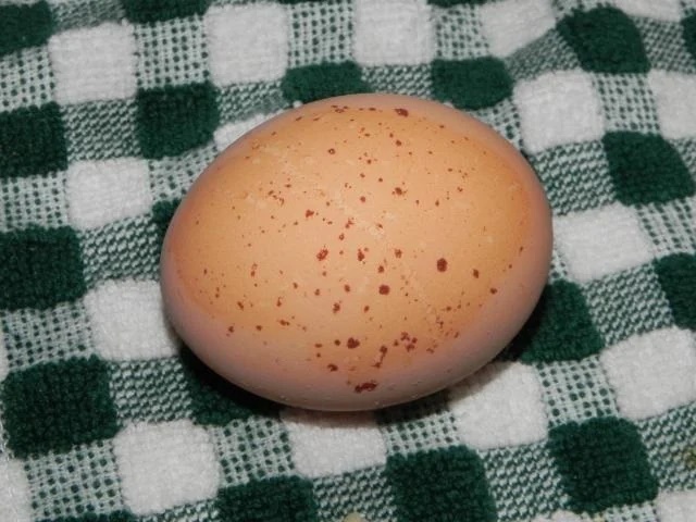Vì sao mua trứng gà không nên chọn quả to, quả có đốm: Nhiều bà nội trợ vẫn chưa biết lý do-1