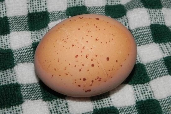 Vì sao mua trứng gà không nên chọn quả to, quả có đốm: Nhiều bà nội trợ vẫn chưa biết lý do