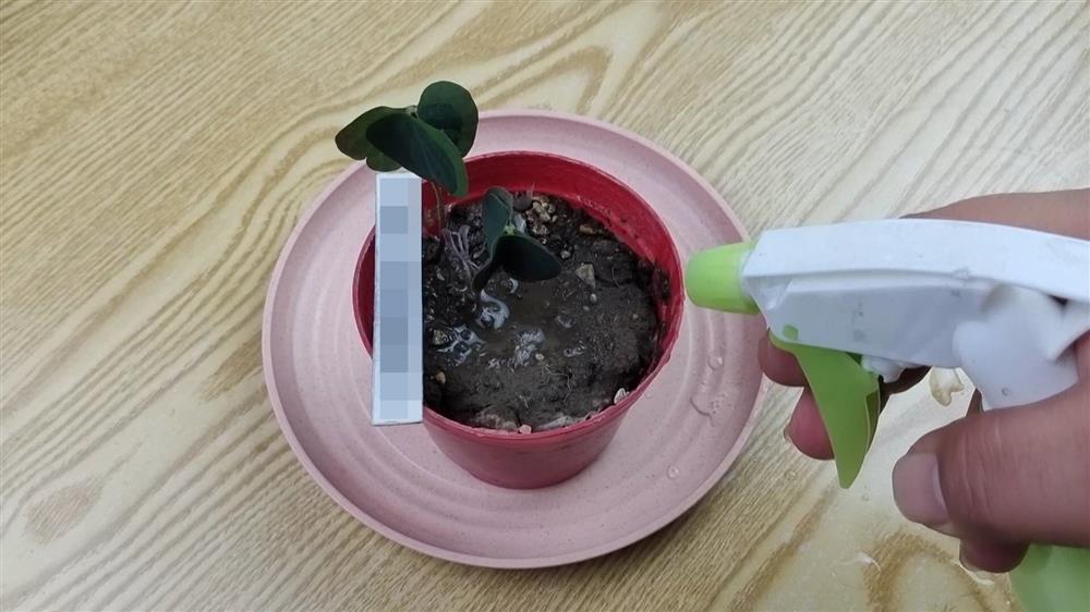 Đừng vứt bỏ một giọt nước nào từ máy điều hòa không khí, nó có nhiều công dụng quý giá nhưng đa số mọi người đều không biết-4