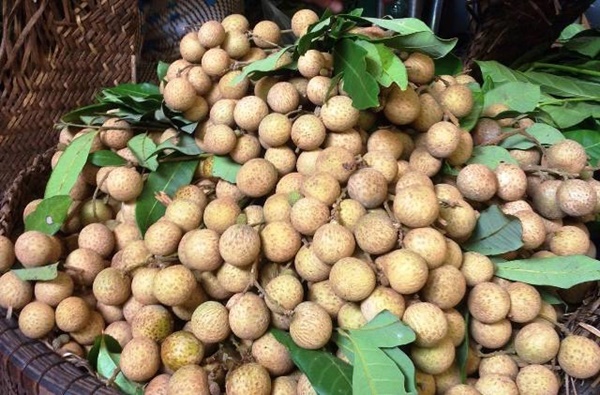 Loại quả dùng đúng sẽ giúp chị em bổ máu, trẻ lâu và tăng tuổi thọ-4