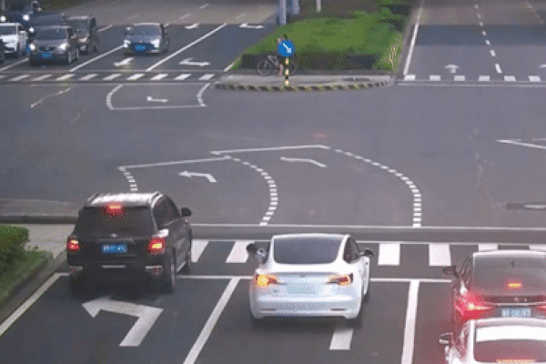 Mới tập lái, tài xế ôtô dán thông báo gây sốc biến chiếc xe trở thành xe ưu tiên-2