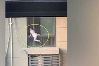 Hoảng hồn nhìn bé trai 4 tuổi leo ra ngoài cửa sổ tầng 29 chung cư