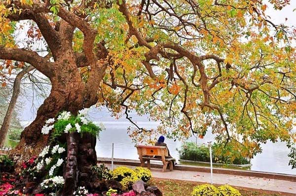 4 con giáp đỏ nhất tiết Lập Thu tháng 8: Tình - Tiền viên mãn, lộc đầy nhà-1