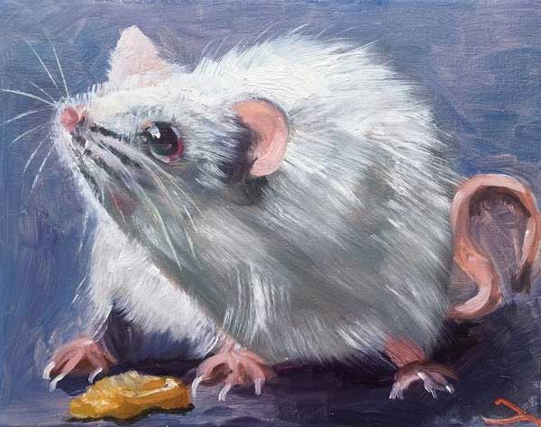 4 con giáp đỏ nhất tiết Lập Thu tháng 8: Tình - Tiền viên mãn, lộc đầy nhà-2