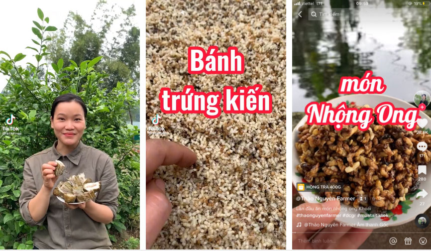 Những TikToker miền sơn cước nói không với thị phi, nổi tiếng khi kể chuyện bắt cá, đi rừng-4