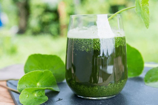 4 cách đơn giản làm nước rau má thanh lọc cơ thể, giải nhiệt cực tốt ngày nóng
