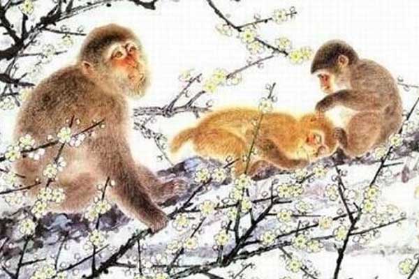 Số trời định sẵn: 3 tuổi vướng đại hạn nghèo khổ trong năm Quý Mão 2023, 2 tuổi đổi vận thành tỷ phú-1