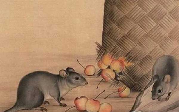 Số trời định sẵn: 3 tuổi vướng đại hạn nghèo khổ trong năm Quý Mão 2023, 2 tuổi đổi vận thành tỷ phú-2