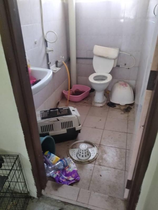 Bị khách thuê ngăn đến thăm nhà, chủ trọ sốc khi phát hiện sự thật-2