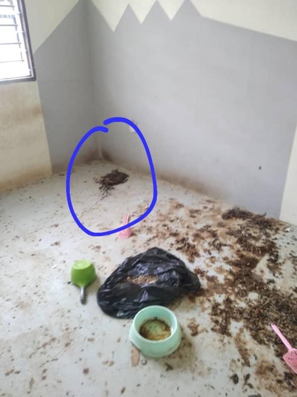 Bị khách thuê ngăn đến thăm nhà, chủ trọ sốc khi phát hiện sự thật-3