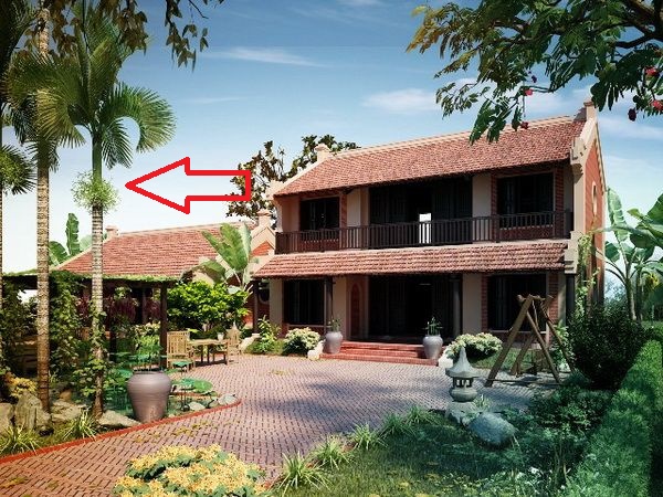 Các cụ dặn rồi: 4 loại cây trồng trước nhà mời thần Tài, 3 cây trồng sau nhà trấn giữ của cải-1