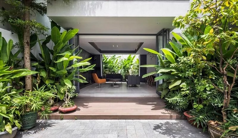 Các cụ dặn rồi: 4 loại cây trồng trước nhà mời thần Tài, 3 cây trồng sau nhà trấn giữ của cải-2