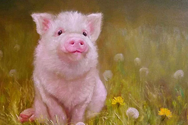 Phố chim phóng sinh bán nghìn con mỗi ngày trước dịp rằm tháng bảy-10