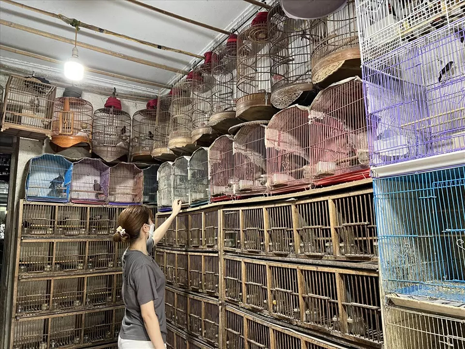 Cận cảnh phố chim Hà Nội mùa Vu Lan: Giá vọt lên cao gấp 2, 3 lần-1