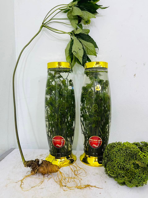 Kỳ lạ loại hoa giá bán đến 8 triệu/kg, dân Việt vẫn xuống tiền mua ngâm rượu-5