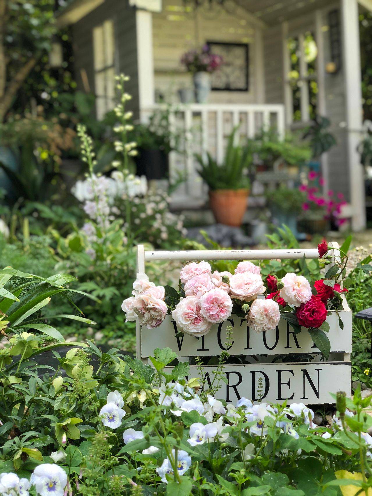 Khu vườn hoa cỏ rộng 100m², hễ ai đặt chân đến là quên lối về, xóa tan hết mọi muộn phiền trên đời-16