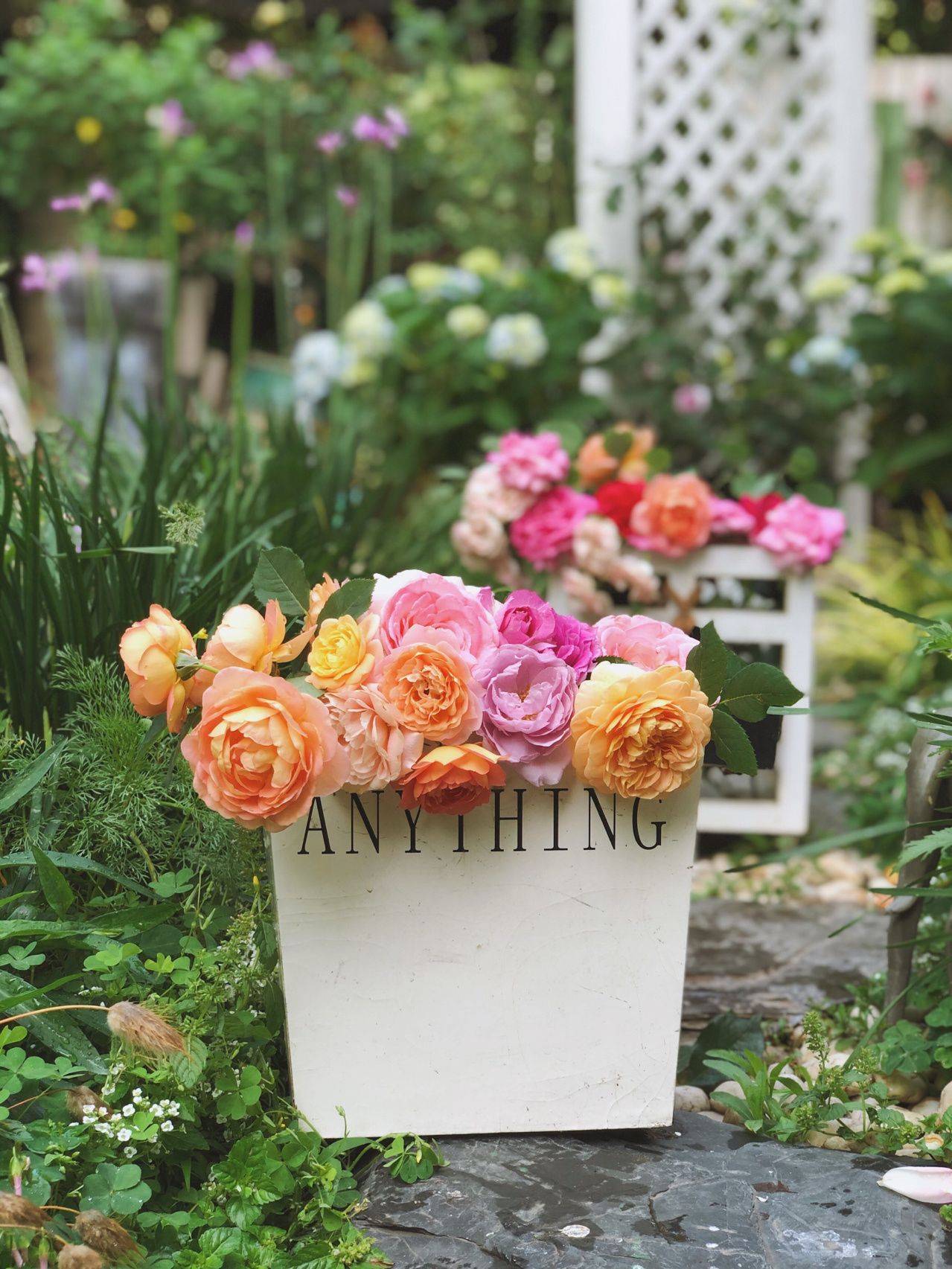 Khu vườn hoa cỏ rộng 100m², hễ ai đặt chân đến là quên lối về, xóa tan hết mọi muộn phiền trên đời-19