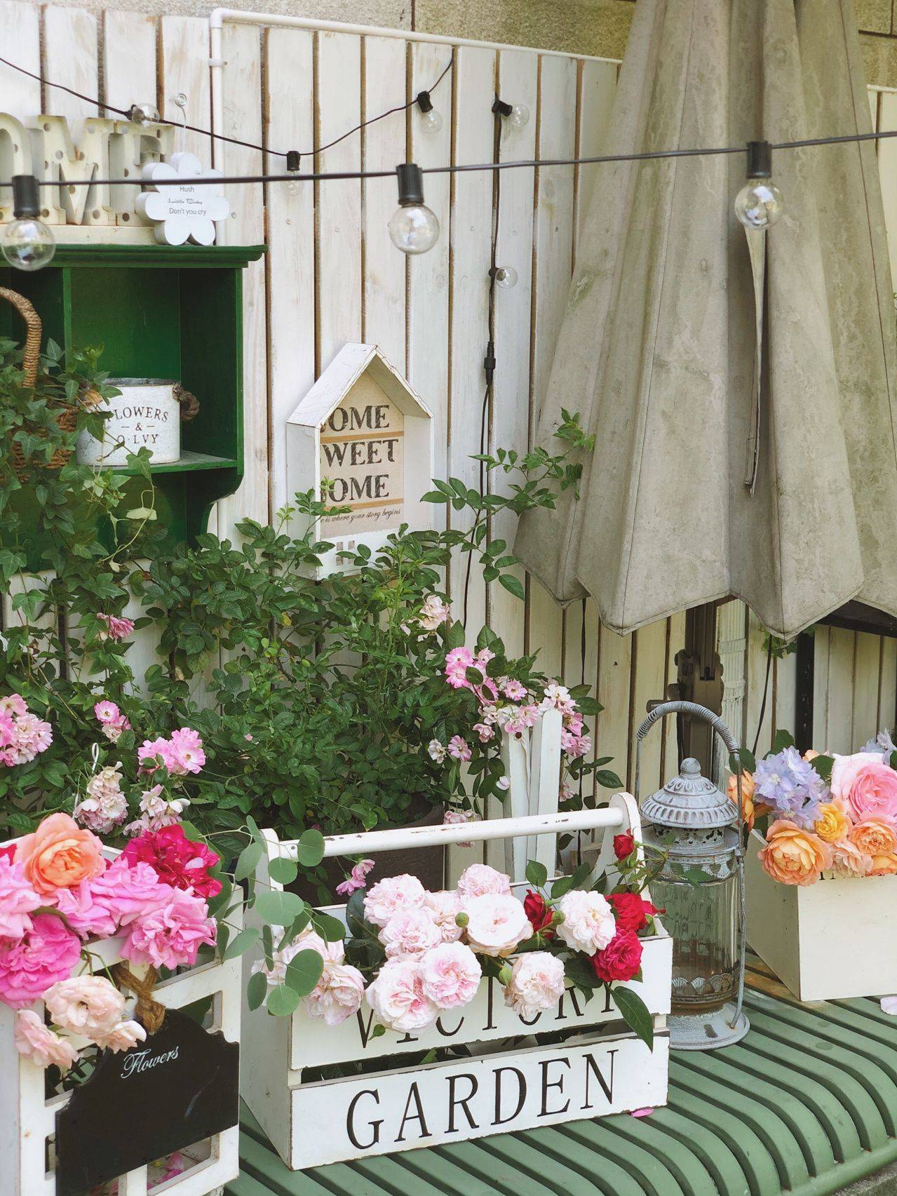 Khu vườn hoa cỏ rộng 100m², hễ ai đặt chân đến là quên lối về, xóa tan hết mọi muộn phiền trên đời-17