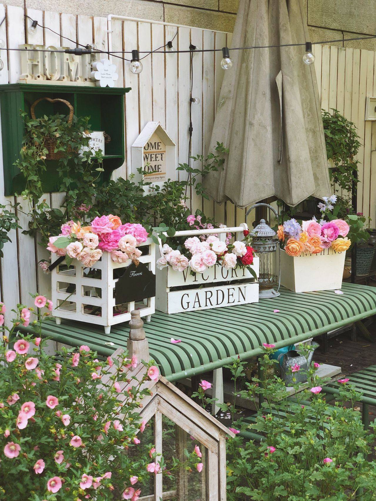 Khu vườn hoa cỏ rộng 100m², hễ ai đặt chân đến là quên lối về, xóa tan hết mọi muộn phiền trên đời-2