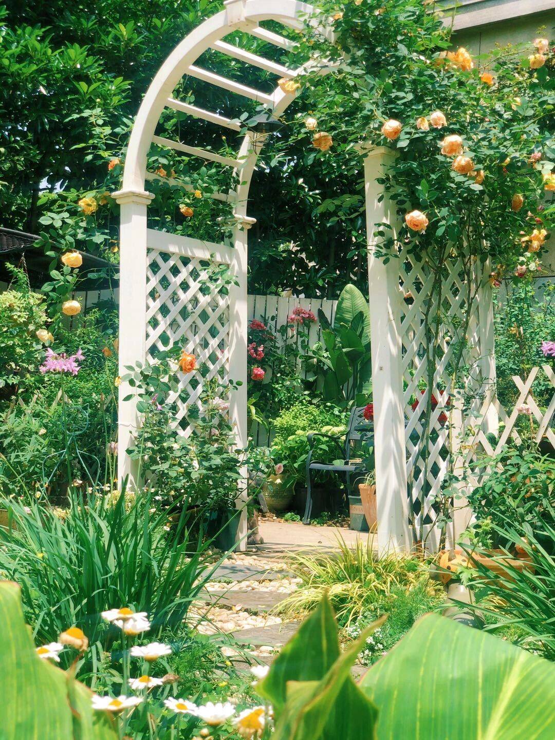 Khu vườn hoa cỏ rộng 100m², hễ ai đặt chân đến là quên lối về, xóa tan hết mọi muộn phiền trên đời-9