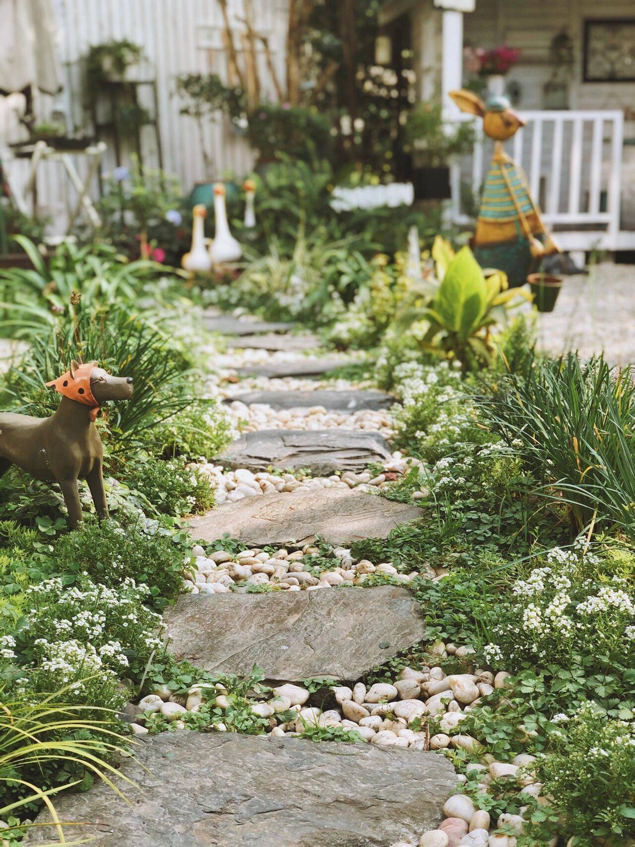 Khu vườn hoa cỏ rộng 100m², hễ ai đặt chân đến là quên lối về, xóa tan hết mọi muộn phiền trên đời-20