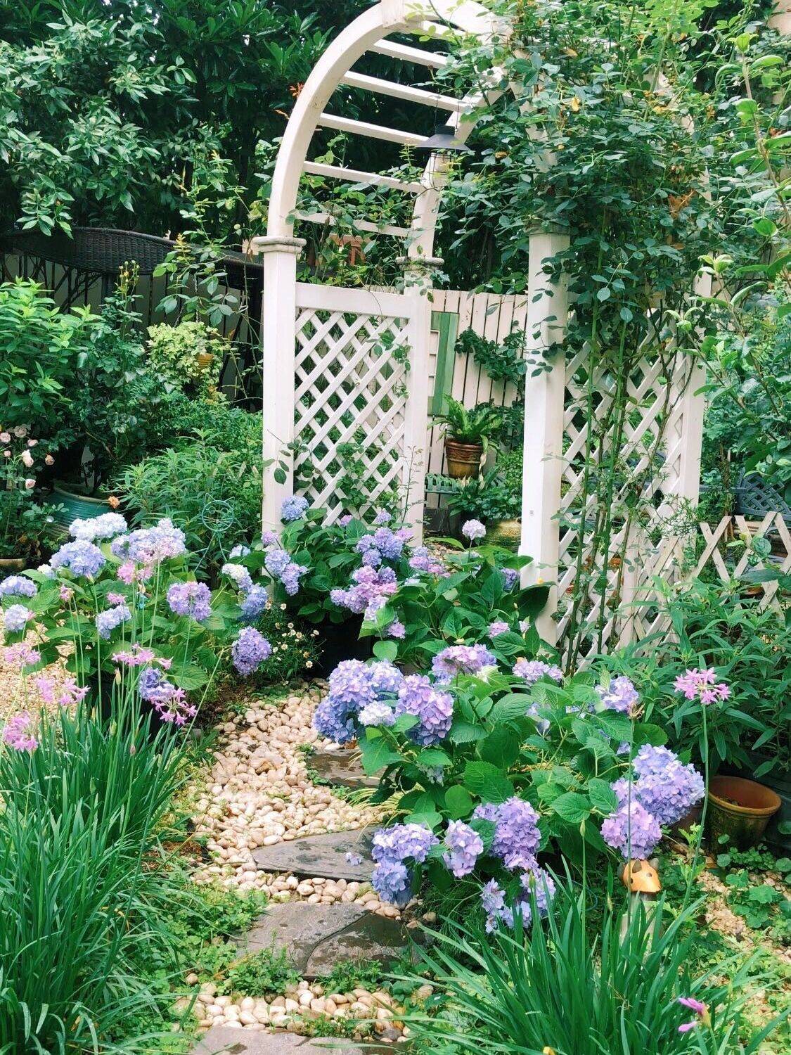 Khu vườn hoa cỏ rộng 100m², hễ ai đặt chân đến là quên lối về, xóa tan hết mọi muộn phiền trên đời-13