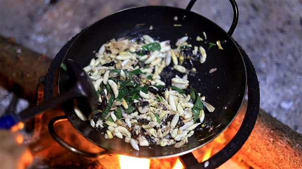 Loại ong kịch độc được dân nhậu xem như đặc sản, lùng mua với giá nửa triệu đồng/kg-3