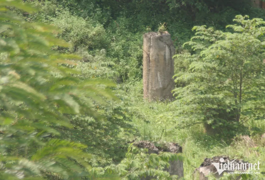 Hối hận bán nhà phố, mắc cạn vì lướt đất quê-2