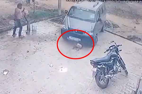 Mất mạng oan uổng chỉ vì một tấm ảnh tự sướng-5