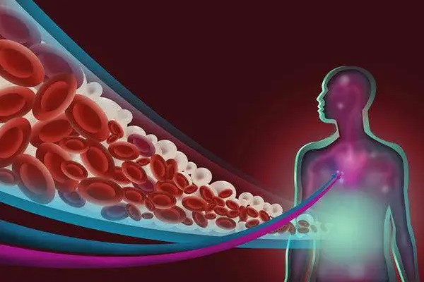 3 việc không làm ngay sau khi ăn, 4 thực phẩm tốt nhất nên tránh xa để tránh bị nhồi máu não-3