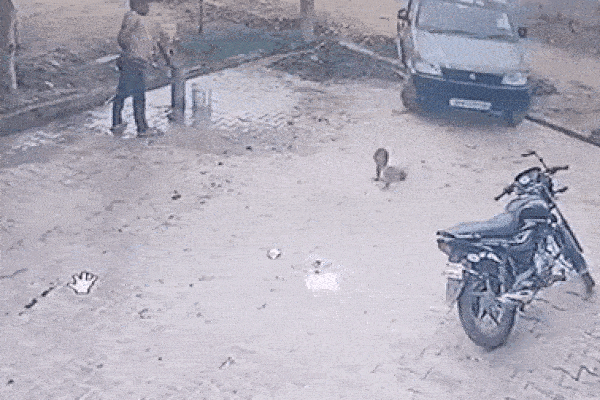 Đứng tim khoảnh khắc ô tô 'nuốt chửng' bé gái đang chơi giữa sân