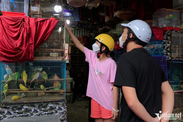 Phố chim phóng sinh bán nghìn con mỗi ngày trước dịp rằm tháng bảy-7