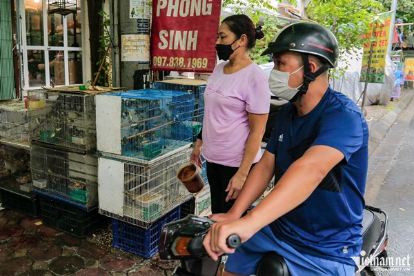 Phố chim phóng sinh bán nghìn con mỗi ngày trước dịp rằm tháng bảy-8