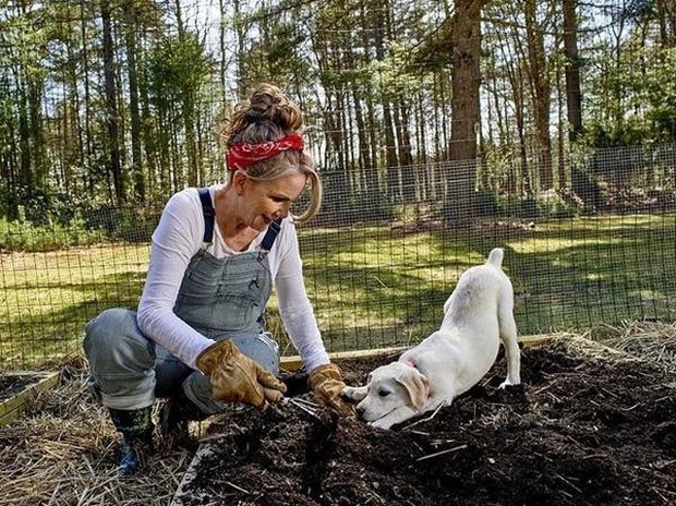 Diễn viên Ngôi nhà nhỏ trên thảo nguyên” bỏ hào quang về quê tận hưởng cuộc sống như trong phim-3