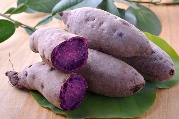 Lợi ích ít biết của khoai lang tím-1