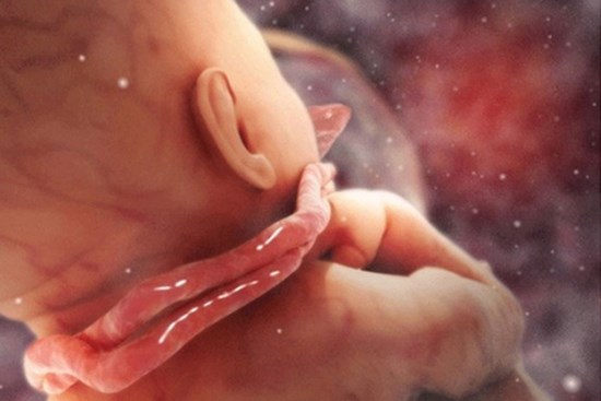 Những thói quen xấu này của mẹ bầu dễ khiến thai nhi bị dây rốn quấn cổ