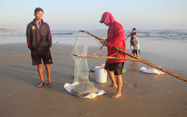 Loài đặc sản bé xíu nhiều màu sắc được ví như lộc trời, dân đi vớt thu tiền triệu/ngày-6