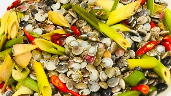 Loài đặc sản bé xíu nhiều màu sắc được ví như lộc trời, dân đi vớt thu tiền triệu/ngày-8