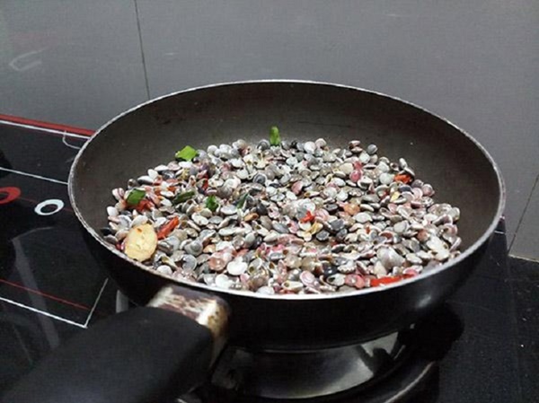 Loài đặc sản bé xíu nhiều màu sắc được ví như lộc trời, dân đi vớt thu tiền triệu/ngày-10