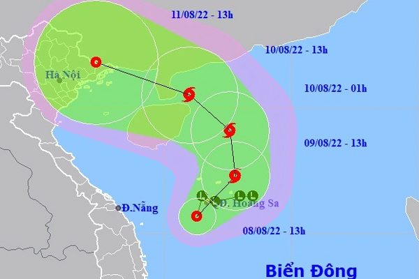 Bộ Y tế: Không coi đồng tính, song tính, chuyển giới là bệnh-2