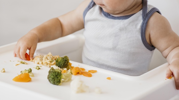 Phương pháp ăn dặm BLW cho bé 7 tháng tuổi chi tiết nhất-1