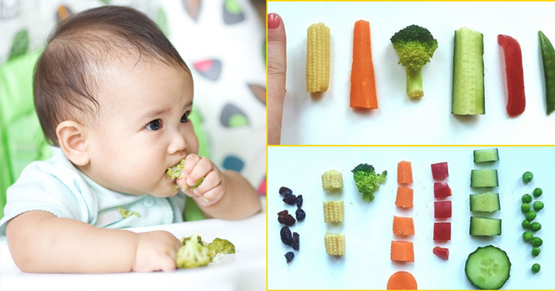 Phương pháp ăn dặm BLW cho bé 7 tháng tuổi chi tiết nhất-2