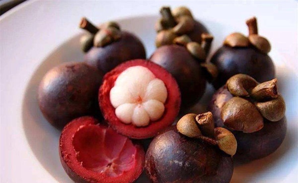 5 điều mà người trường thọ thích làm, tiếc là phần lớn chúng ta ít khi quan tâm-2