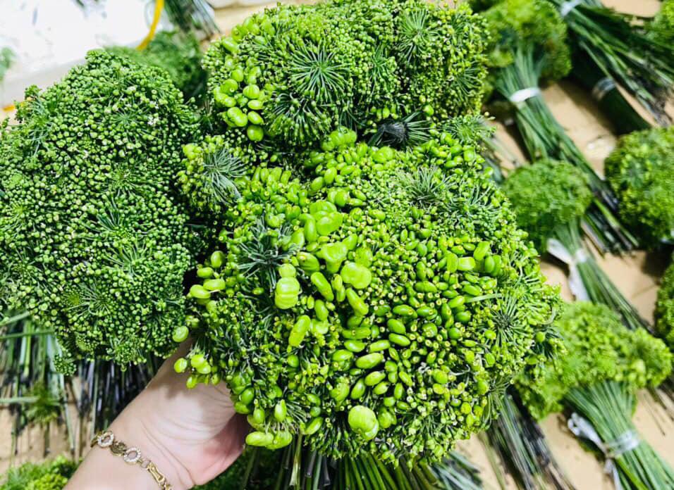 8 triệu một ký hoa sâm Ngọc Linh, ngâm rượu toàn hàng Trung Quốc-1