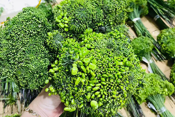 Loại lá cây tươi có giá cao nhưng vẫn nhiều người tìm mua trên thị trường-6