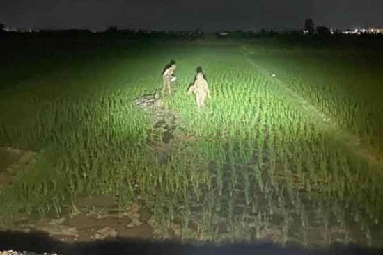 Đang yên lành, cặp đôi lao xuống 