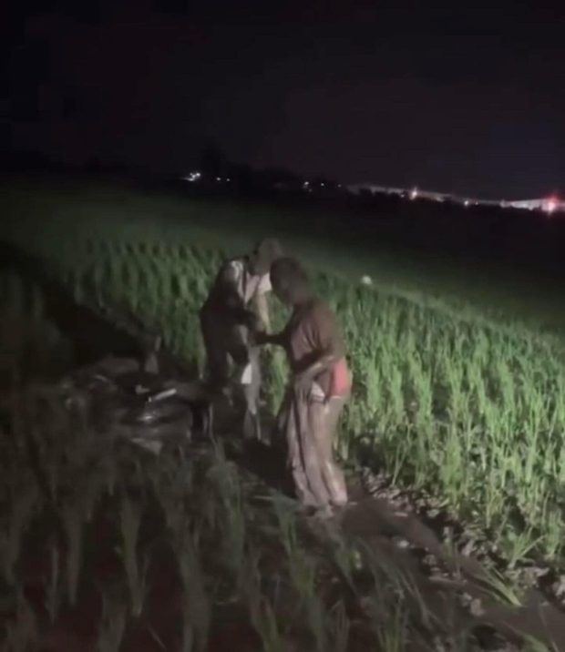 Đang yên lành, cặp đôi lao xuống cày ruộng giữa đêm với bộ dạng gây ngao ngán-2
