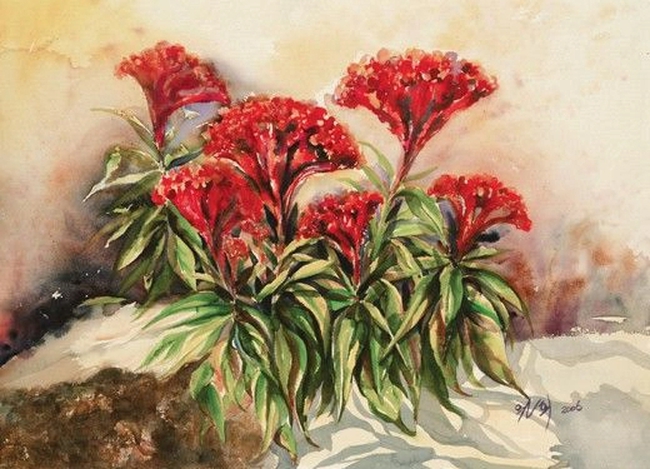 Hoa mào gà vừa nở, người mẹ đồng nát nhìn thấy nụ cười đầu tiên trong đời của đứa con trai tật nguyền-5