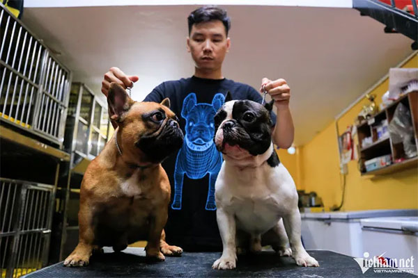 Điều ít biết về loại thịt trâu đắt nhất Việt Nam, một cân thịt bằng cả chỉ vàng-5